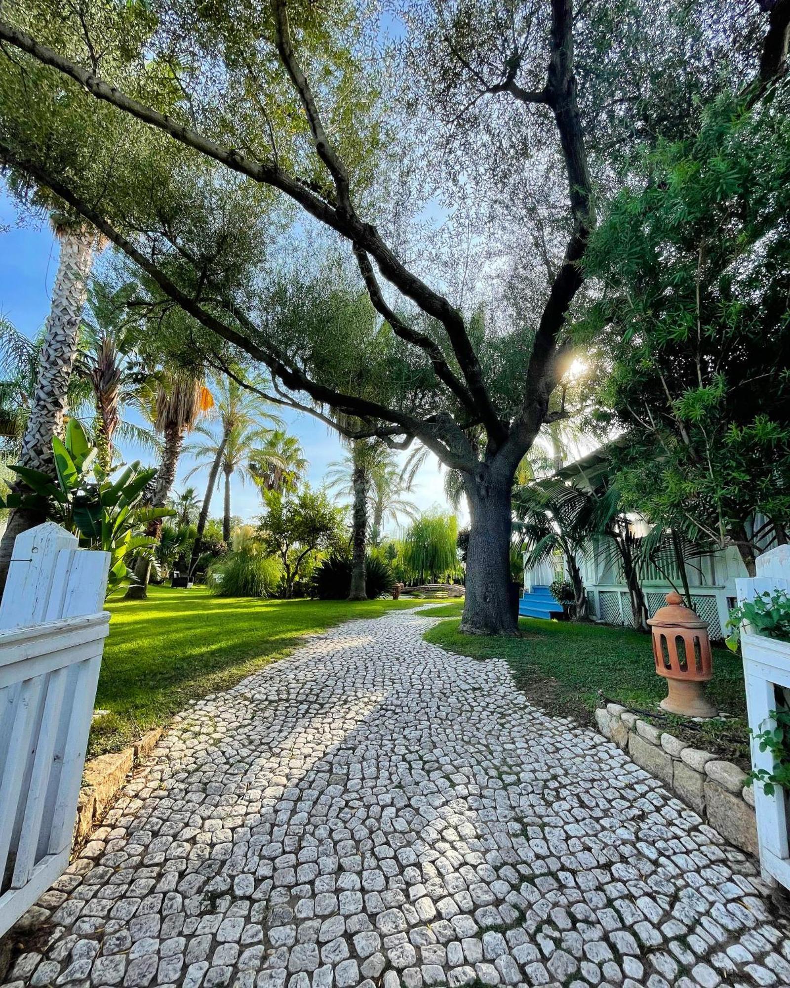 Hotel Mediterraneo Santa Maria Navarrese Dış mekan fotoğraf